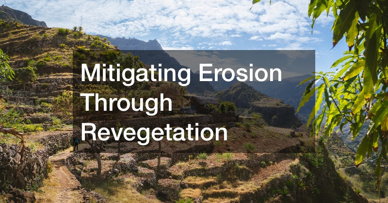 Mitigating Erosion Through Revegetation