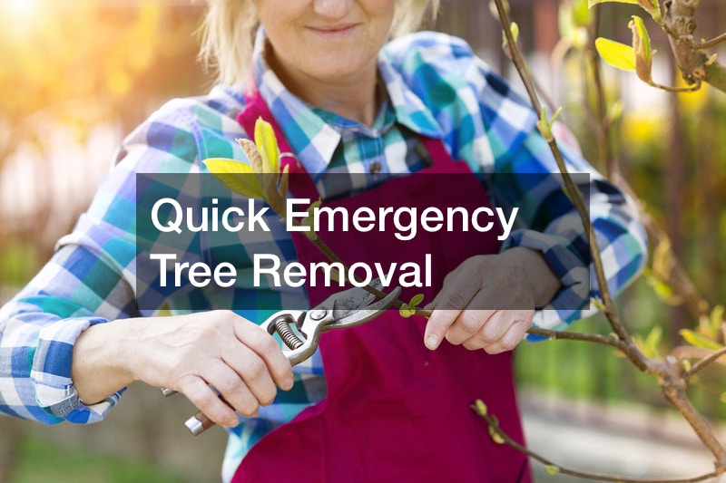 Quick Emergency Tree Removal