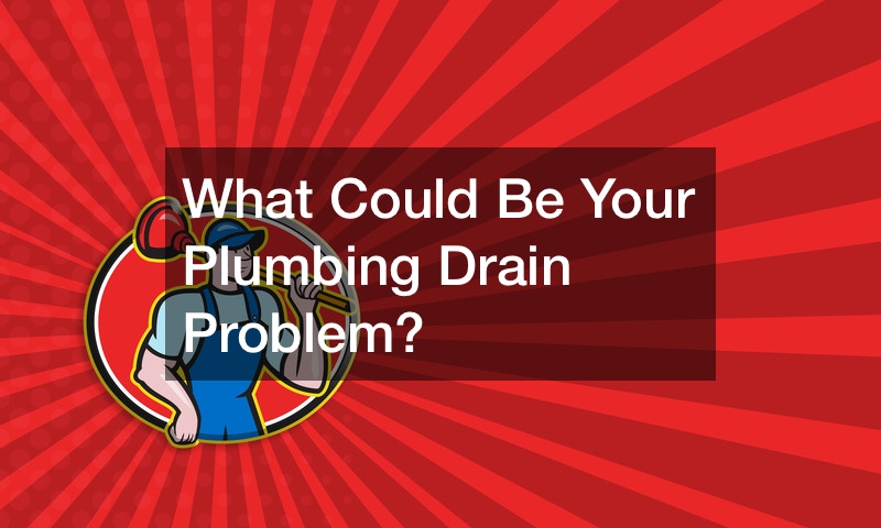 What Could Be Your Plumbing Drain Problem?