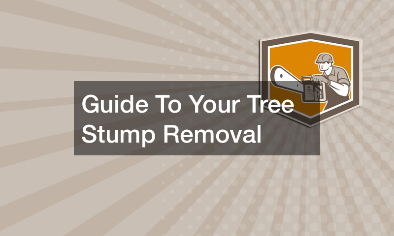Guide To Your Tree Stump Removal