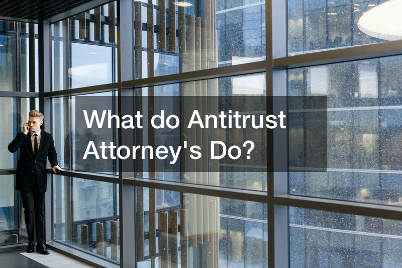 What do Antitrust Attorneys Do?
