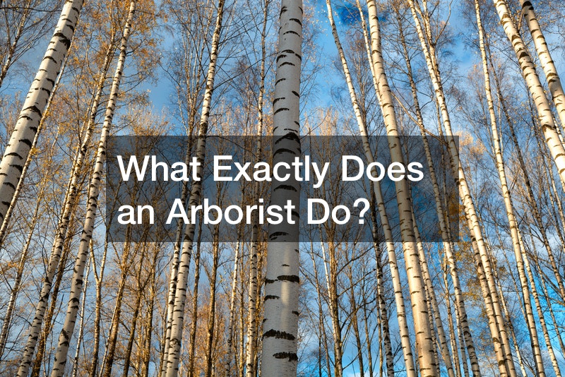 What Exactly Does an Arborist Do?