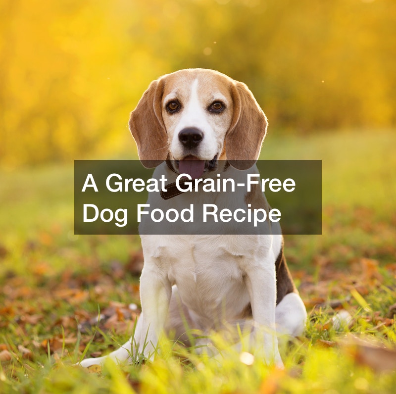 A Great Grain-Free Dog Food Recipe