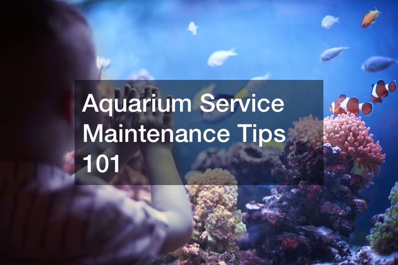 Aquarium Service Maintenance Tips 101