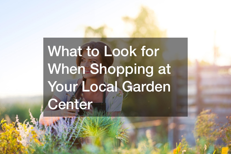 What to Look for When Shopping at Your Local Garden Center