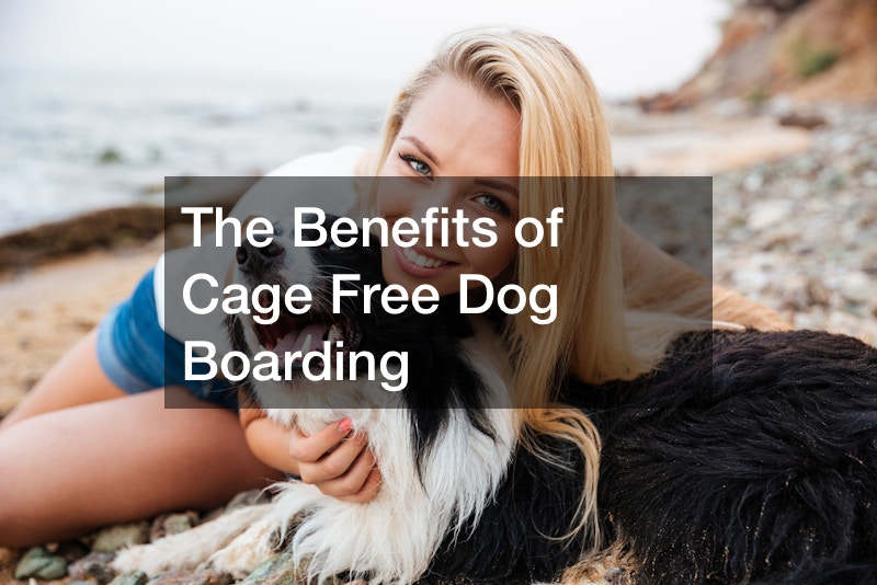 The Benefits of Cage Free Dog Boarding