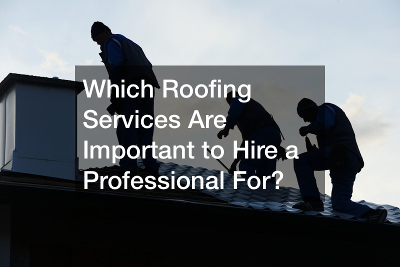 Which Roofing Services Are Important to Hire a Professional For?